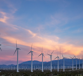The Impact of IoT, Intelligent Automation and Artificial intelligence on the Wind farm Ecosystem