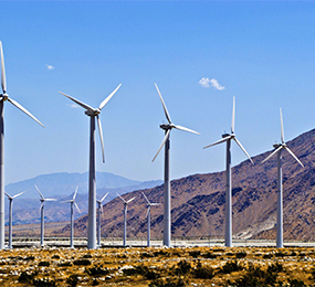 Offshore Wind Turbine Blade Inspections, Repair and Reliability