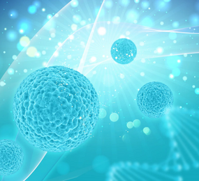 Formulation and Characterisation of Novel Proteins