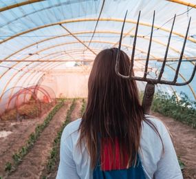 The Effect of Agrivoltaic Systems on Crop Productivity