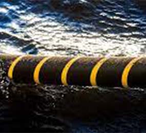 Assessing the Environmental Impact of Submarine Cable Projects.