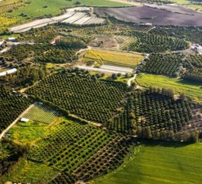 The Potential of Agrivoltaics Across Europe