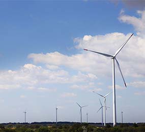 The Power of Digital Ecosystems to Enhance Optimization in Wind
