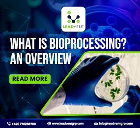 What Is Bioprocessing? An Overview