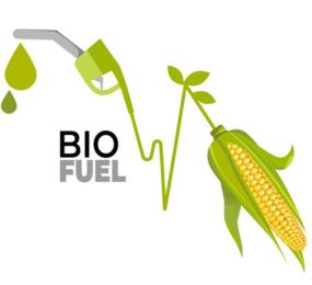 Advanced Biofuels Technologies: Processes