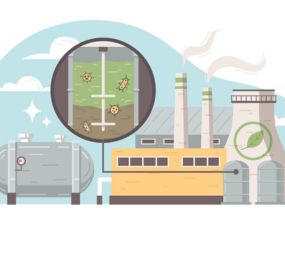 Different Methods of Biomass Conversion