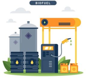 Biofuel Conversion Processes