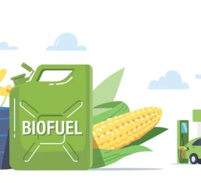 Future Biofuels Standards and Regulations