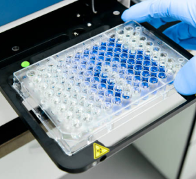 Demystifying Extractables and Leachables: Definitions, Differences, and Significance