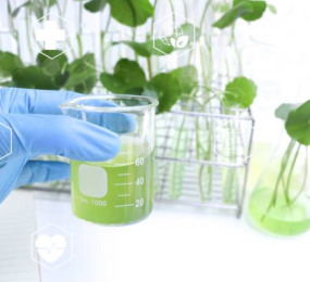 Navigating Risk Assessment Strategies for Extractables and Leachables in Pharmaceutical Packaging