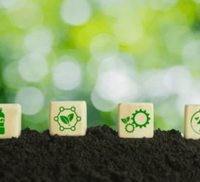 The Rise of Biopolymers: Revolutionizing the Plastics Industry