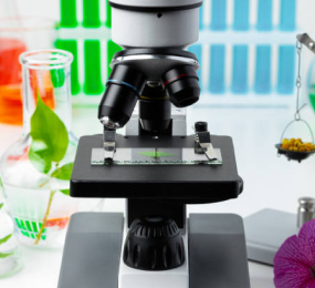 Case Studies in Extractables and Leachables Testing: Key Lessons Learned