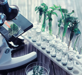 Emerging Trends in Extractables and Leachables Testing Methodologies: Enhancing Safety and Compliance