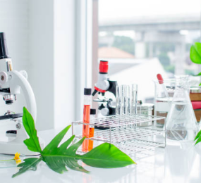 Material Selection and Compatibility Testing for Minimizing Extractables and Leachables