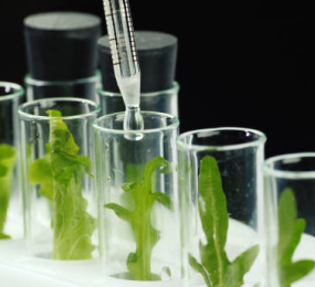 Challenges and Solutions in Extractables and Leachables Testing for Biologics