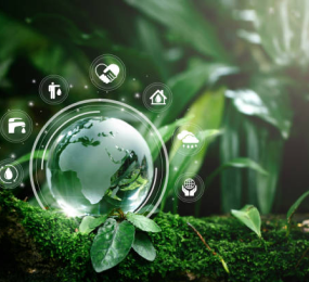 Applications of Bioplastics in Packaging: Current Trends and Future Prospects