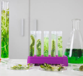 Impact of Manufacturing Processes on Extractables and Leachables Profiles