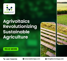 Agrivoltaics Revolutionizing Sustainable Agriculture
