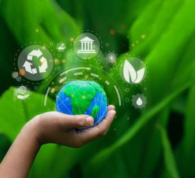 Sustainable Aviation Fuel: The Future of Green Aviation