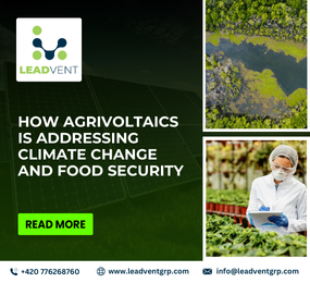 How Agrivoltaics is Addressing Climate Change and Food Security?