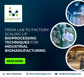 From Lab to Factory: Scaling Up Bioprocessing Techniques for Industrial Biomanufacturing