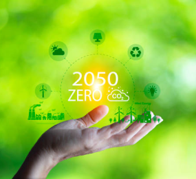 Sustainable Aviation Fuel: A Greener Sky