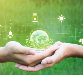 Sustainable Aviation Fuel: A Catalyst for Net-Zero Aviation