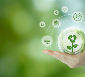 Challenges and Opportunities in Scaling Up Sustainable Aviation Fuel Production
