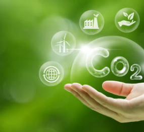 Sustainable Aviation Fuel: Innovations in Feedstock and Production Processes