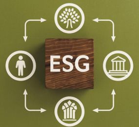 Leadvent Group| ESG Criteria in Mergers and Acquisitions: Shaping ...