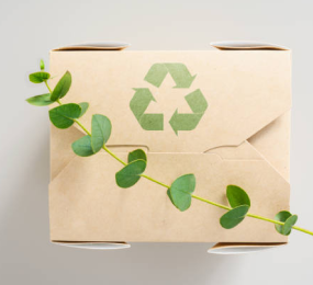 Plant-Based Packaging Alternatives: A Greener Future