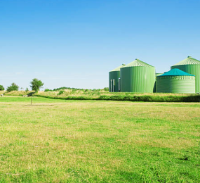 The Role of Biogas and Biomethane in Achieving Net-Zero Emissions