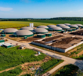 Biogas in the Circular Economy: A Sustainable Energy Solution