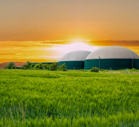 Policy Frameworks Supporting Biogas and Biomethane Development