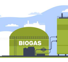 Optimization of Biogas Production Processes