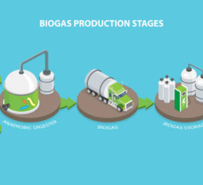 Biomethane: A Sustainable Alternative in Transportation