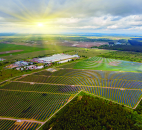 Overcoming Challenges in AgriVoltaics: From Policy Barriers to Technological Innovation