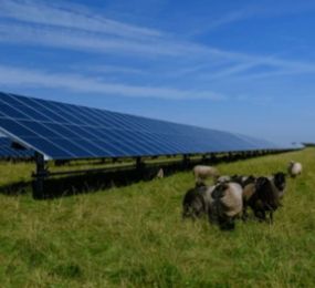 How Farming and Solar Energy Work Together – 4th Annual Agrivoltaics Europe