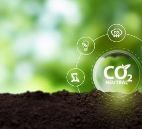 Incentives and Funding Mechanisms for Net-Zero Transitions in Europe