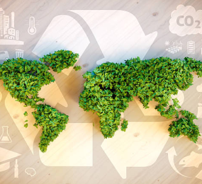 The Future of Biopolymers: Driving the Next Wave of Sustainable Materials