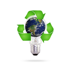 Net Zero: From Climate Commitment to Business Strategy
