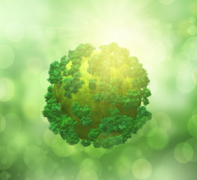 Net Zero: Defining the Path to a Low-Carbon Global Economy