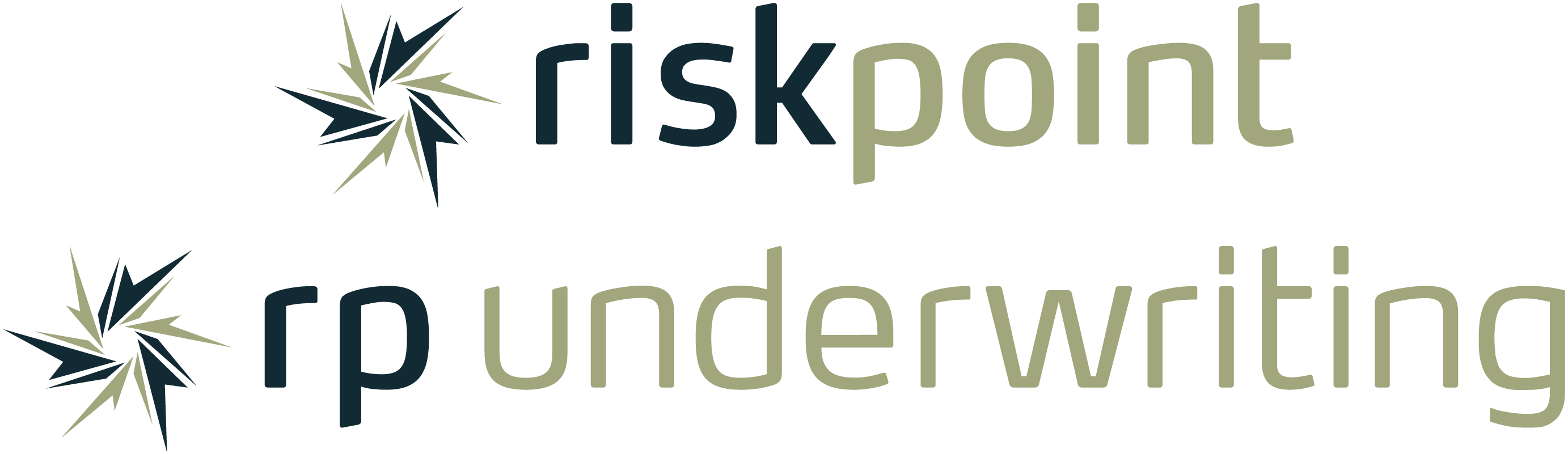 The RiskPoint Group